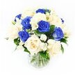 This graceful condolence bouquet showcases a thoughtful pairing of deep blue and creamy ivory roses arranged in a clear glass vase, set against a spotless white background that highlights its tranquil elegance. The blue roses are a striking royal shade, their velvety petals layered tightly to form classic, full blooms that speak of enduring love and remembrance. Nestled among them, ivory roses with softly unfolding petals lend a gentler, warmer tone, softening the design and evoking quiet reassurance, much like the understated calm of residential streets around Brent Cross early in the day. White freesia stems thread lightly through the roses, their multiple trumpet-shaped blossoms and pointed buds contributing an airy quality and a suggestion of subtle fragrance that would feel at home in a peaceful Brent Cross sitting room. Fine trails of white baby's breath are carefully woven throughout, each tiny flower creating a delicate, cloud-like mist that fills the spaces between the larger blooms and lends the bouquet a soft, almost weightless appearance. The surrounding foliage is a deep, polished green, shaped to provide structure and support without distracting from the flowers' cool, serene palette. Inside the clear glass vase, the straight, freshly cut stems are visible, standing in clean water that reflects the florist's meticulous care. Every element is arranged with balance and intention, as though prepared for a same-day delivery to a home, chapel, or farewell service in the local Brent Cross area. The overall impression is one of dignified peace and gentle solace, making this bouquet a tender way to express sympathy and remembrance.
