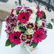 This playful, sophisticated bouquet encapsulates the lively heart of Brent Cross-a floral celebration made for brightening birthdays, anniversaries, or spontaneous milestones at homes along the North Circular or Hendon Way. Vivid Gerbera daisies in shades of hot pink burst from the centre, their broad, silky petals full of joyful energy and unmistakable cheer. Scattered between, chrysanthemums twinkle with two-toned petals-magenta striped with white and circled around vivid green eyes-adding dynamism to the ensemble. Creamy ivory roses introduce a layer of gentle refinement, their tightly wound blooms unfurling beside the vibrant colours. Feathery sprigs of baby's breath, reminiscent of morning clouds over local parks, weave delicately through the bouquet, while lush green foliage provides a rich and natural base. The arrangement is presented on a glowing white surface, the softly blurred background hinting at the comfortable interiors and modern architecture of Brent Cross homes. At the arrangement's lower edge, a small white card peeks out, suggesting a personal touch or celebratory message. Each flower and detail speaks of expert care and local pride, making this bouquet an exuberant, uplifting gift, perfectly suited to the rich tapestry of celebrations that define the Brent Cross community.