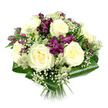 Against a pristine white background, this hand-tied bouquet stands out with a calm yet luxurious presence, every flower clearly revealed. In the centre, several large creamy white roses open gracefully, their petals layered in soft spirals that seem to cradle the light. The roses' subtle ivory hue suggests purity and warmth, evoking the comforting feel of a thoughtful gift arriving on a doorstep near Brent Cross. Clustered between these central blooms, rich purple and magenta alstroemeria introduce vibrant contrast. Their trumpet-shaped flowers, some open, some in bud, carry fine streaks and speckles on the petals, adding visual rhythm and a hint of playful energy. Interwoven among the main flowers, delicate sprigs of white baby's breath create a gentle haze, their tiny clustered blossoms softening every transition and lending an airy, ethereal quality to the overall design. Dotting the bouquet are green-white astrantia heads, their star-like bracts and textured centres providing a touch of wild, natural charm that feels surprisingly at home amid the urban pace around Brent Cross and the North Circular. Holding everything together, broad aspidistra leaves are expertly folded around the base into a smooth, structured collar of glossy dark green. The leaves' strong lines and reflective surfaces give the bouquet a sculpted outline, framing the creams and purples above. Below, the stems are visible and neatly bound, aligned with the precision typical of experienced florists at Brent Cross Flowers. The arrangement feels both modern and timeless, suitable for sending as a message of love, appreciation, or sympathy to friends, family, or colleagues living or working in and around Brent Cross.