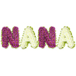 A lovingly crafted sympathy tribute spells out NANA in bold, three-dimensional floral letters, photographed against a pristine white background that makes every petal and contour read clearly. Each letter is tightly packed with small chrysanthemum-like blooms: the two Ns formed of deep magenta to plum chrysanthemums with tiny yellow eye centres, and the two As created from soft, creamy white chrysanthemums that offer a cool, calming contrast. A bright lime-green edging-pleated ribbon or closely arranged foliage-wraps each letter in a neat, undulating frame, giving the composition the feel of a carefully finished keepsake. The dense clusters of flower heads create a plush, sculpted surface that catches soft light; you can almost sense the faint, clean scent of chrysanthemums and the subtle rustle of petals as sunlight grazes the rounded tops.

This arrangement reads as a quiet conversation between colour and care: the plum tones suggest devotion and memory, the ivory blooms bring a gentle serenity, and the green border adds a whisper of life and hope. Designed for memorial services, wakes, or graveside gatherings, the piece is crafted to honour a treasured grandmother with dignity and intimacy. I describe it as a florist would to someone unable to see-detailing texture, scale and mood-so you understand how the colours sit together and how the lively lime edge lifts the whole word. Suitable for close family tributes, the design balances readable lettering with floral softness, an affectionate, tactile expression of love and remembrance that feels both traditional and quietly modern.