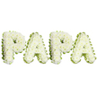 A tender, dignified sympathy tribute spelling the name PAPA in bold, uppercase letters, photographed against a clean, pure-white background. Each of the four characters is hand-built from dense clusters of small, creamy-white chrysanthemums - the petals ruffled and layered so the letters read as soft, slightly domed cushions of bloom. Subtle threads of pale green foliage and stems peek through at the joins and contours, adding gentle depth and a natural shadow that keeps the lettering readable from a short distance. Around every letter a narrow, wavy edge of lime-green ribbon or pleated foliage frames the white blooms, the fresh green acting as a calm, crisp border that defines the form with restraint rather than flourish.
The overall effect is quiet and respectful: the white chrysanthemums give an impression of purity and peace while their texture suggests comfort under the fingertips. Soft, even studio light washes the surface, highlighting the tiny petal details and leaving no harsh shadows, so the arrangement reads as an intimate, hand-crafted memorial piece. As a Brent Cross area florist might explain to a client preparing for a service at a local chapel near Brent Cross Shopping Centre or a graveside at a nearby cemetery, this style of lettering is chosen for its personal tone - the informal, affectionate name PAPA conveys family closeness while the white-and-green palette stays traditionally appropriate for bereavement. The piece communicates love, quiet remembrance, and the careful skill of a florist shaping many small blooms into a single, comforting message of farewell.