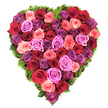 Viewed from directly above against a crisp white backdrop, this heart-shaped tribute is composed entirely of densely packed, fully bloomed roses, their velvety petals creating a sumptuous carpet of colour and texture. Deep crimson and rich burgundy roses anchor the composition, while classic scarlet blooms ripple into bands of soft blush and coral pink, vibrant fuchsia, and magenta-each tone carefully interwoven so the eye reads both movement and unity across the heart. Intermittent sprays of lavender and mauve roses lend a cool, understated plum depth that balances the warmer reds, and every flower sits so close to its neighbour that the petals meet edge to edge, producing a seamless, petal-rich surface. Around the heart's perimeter a fine, dark green, moss-like foliage frames and supports the silhouette; its delicate fronds peek out between blooms and along the outline, giving the heart a gentle, living edge.

The arrangement reads at once passionate and consoling: the lush, open heads exhale a quiet, classic rose perfume you can almost imagine, their soft centers and slightly curled petal rims suggesting freshness and careful handling. The overhead viewpoint emphasises the maker's meticulous craftsmanship-each colour placed to narrate an emotion, whether for love, an anniversary, Mother's Day, or a dignified memorial. Light skims the petals to reveal velvety shadows and glossy highlights, enhancing the three-dimensional ripple of the tightly packed roses.

As a local florist's design familiar to households around Brent Cross and neighbouring Cricklewood, this heart-shaped piece feels at home in small family ceremonies, intimate celebrations, or as a tender expression of remembrance. The combination of opulent reds, playful pinks and thoughtful purples, ringed by the fresh green border, offers a resolute symbol of devotion and solace.